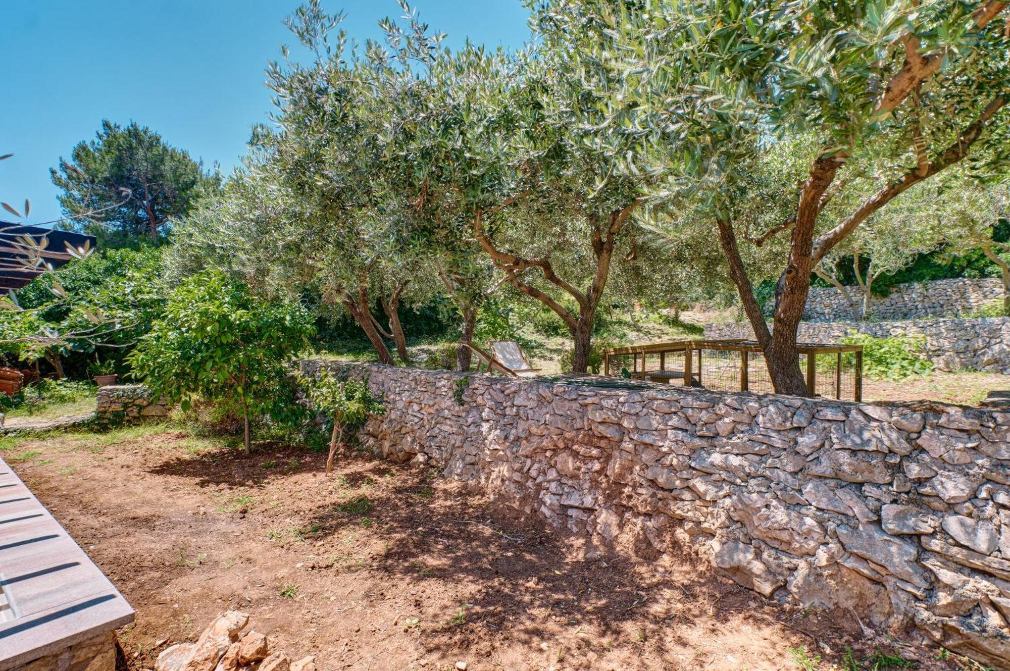 Providenca Accommodation Mali Lošinj Dış mekan fotoğraf